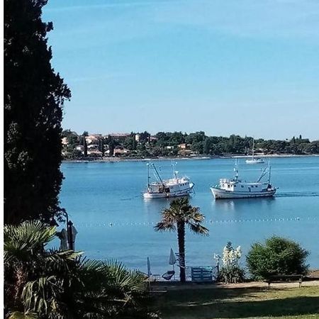 Apartment Villa Angelina, 70M From The Beach, Free Parking Novigrad Istria Extérieur photo