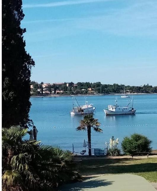 Apartment Villa Angelina, 70M From The Beach, Free Parking Novigrad Istria Extérieur photo