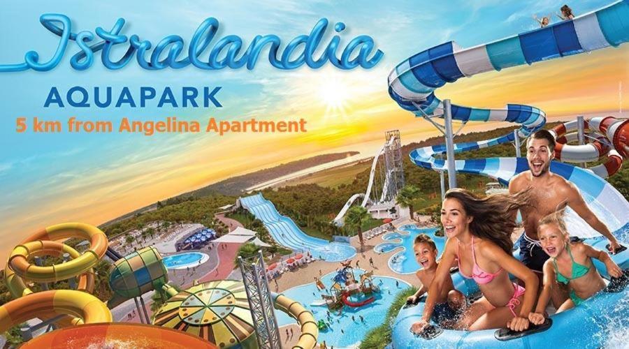 Apartment Villa Angelina, 70M From The Beach, Free Parking Novigrad Istria Extérieur photo